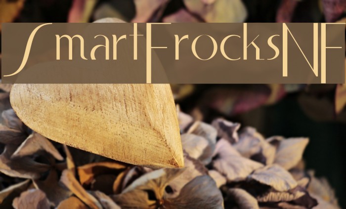SmartFrocksNF Example 1