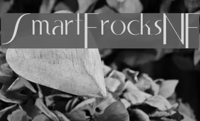 SmartFrocksNF Font examples