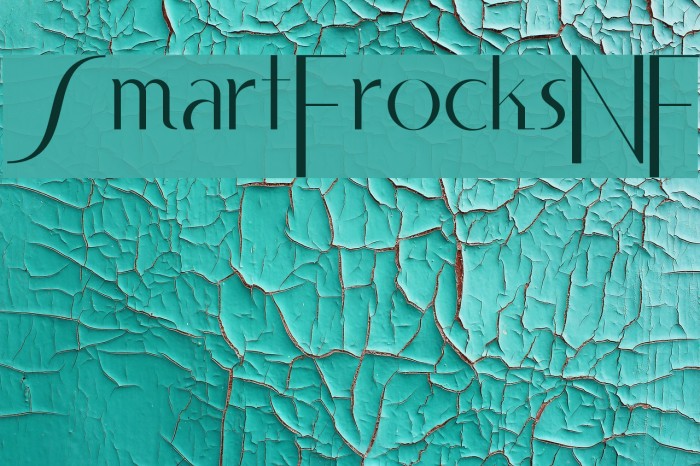 SmartFrocksNF Example 2