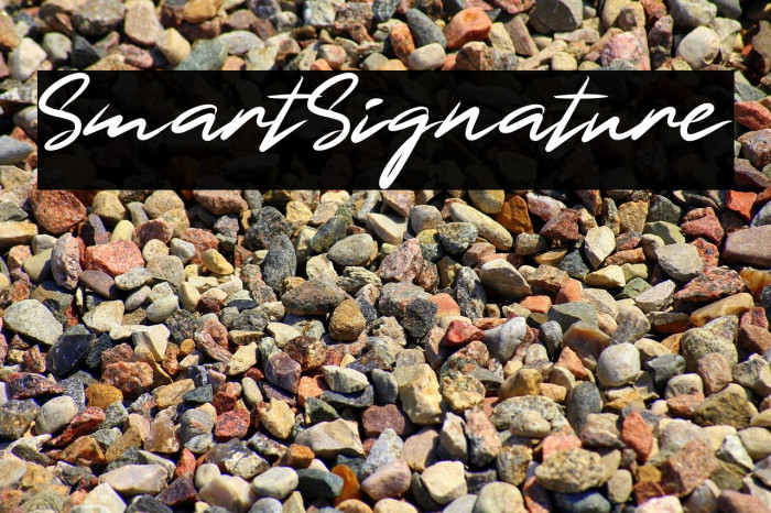 SmartSignature Example 1