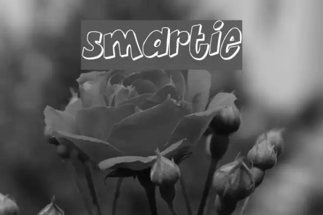 Smartie Font examples