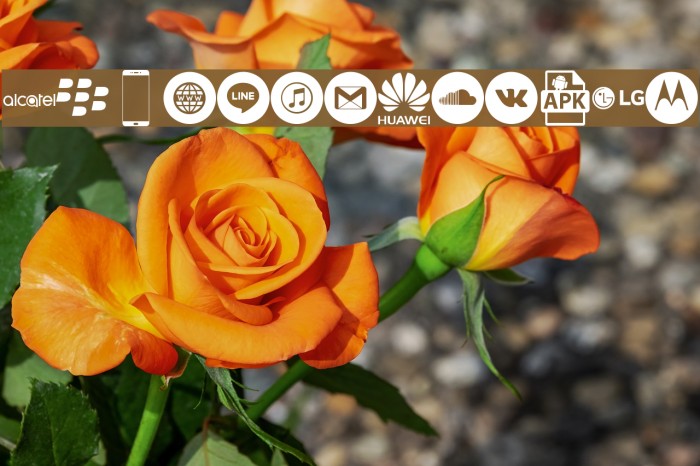 Smartphone Icons Pro Example 1