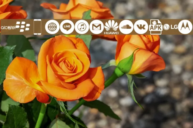 Smartphone Icons Pro Example 1