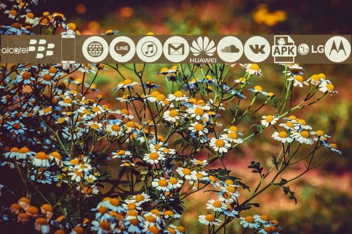 Smartphone Icons Pro Example 2