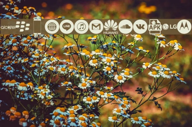 Smartphone Icons Pro Example 2