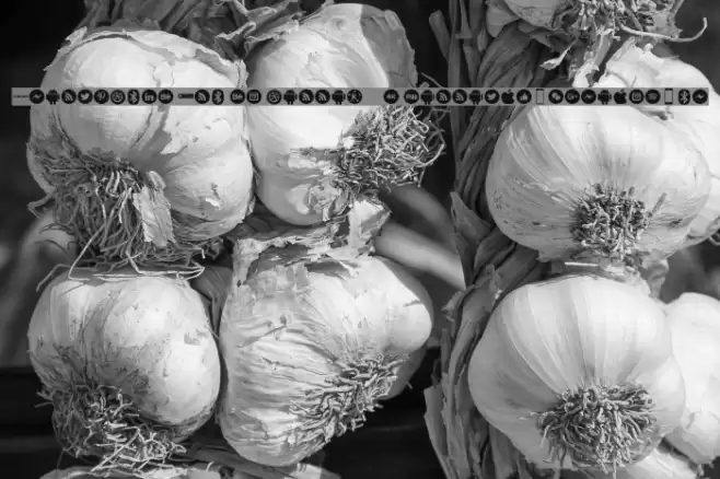 Smartphone Pro el harrak © : darrati10@gmail.com Fonte examples