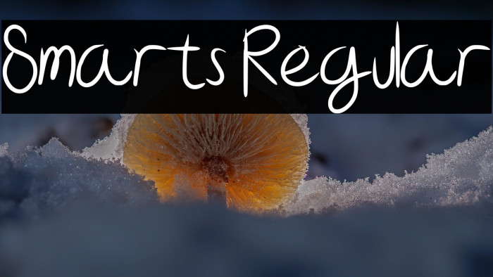 Smarts Regular Example 3