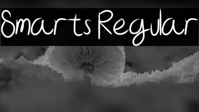 Smarts Regular Font examples