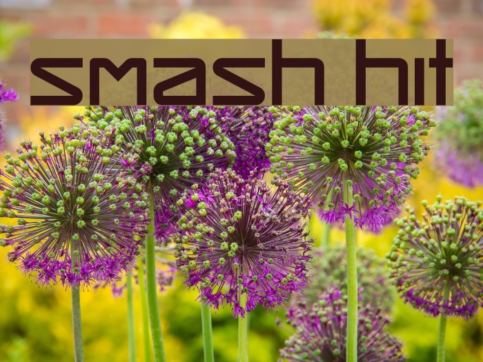 Smash Hit Font - FFonts.net