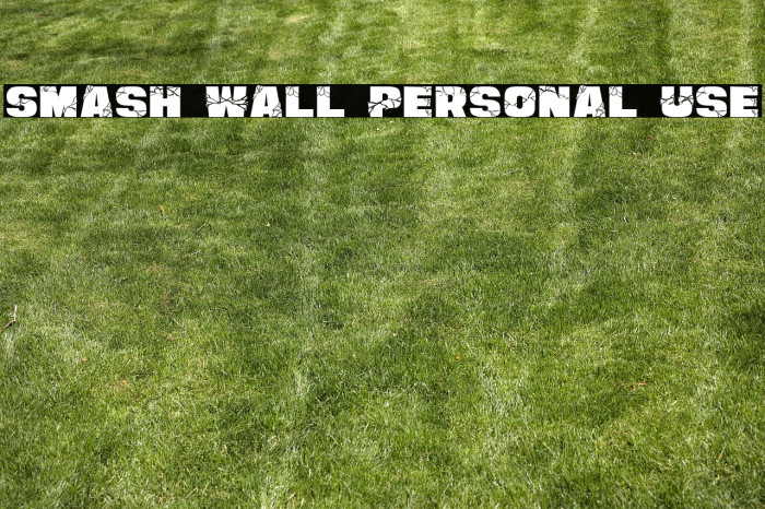 Smash Wall Personal Use Example 2
