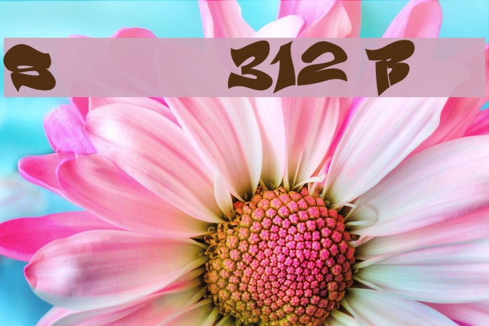 Smasher 312 Black Example 1