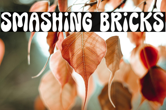 Smashing Bricks Example 2