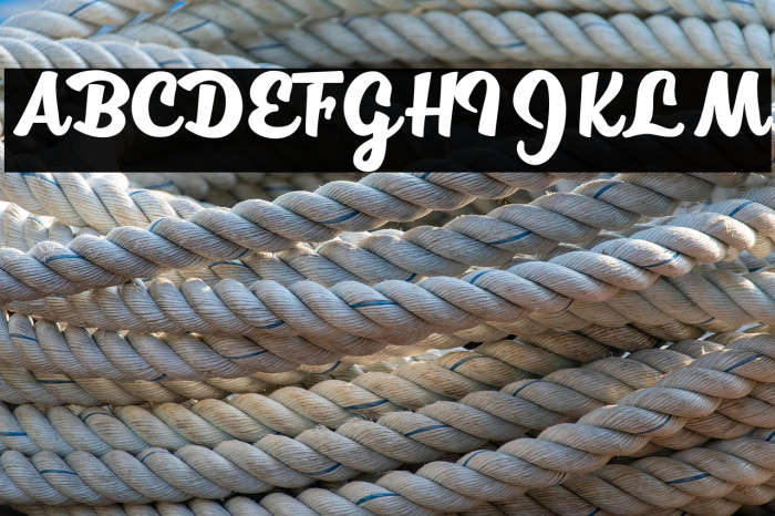 Smell a Daisy Personal Use Example 2