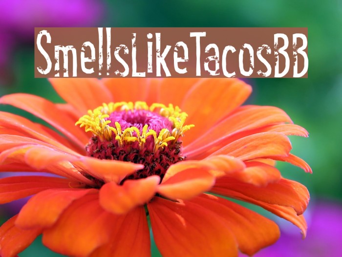 SmellsLikeTacosBB Font examples