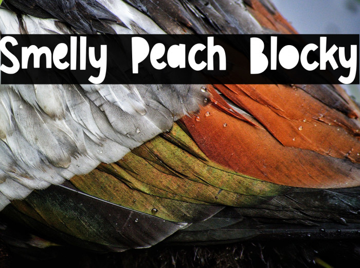 Smelly Peach Blocky Example 3