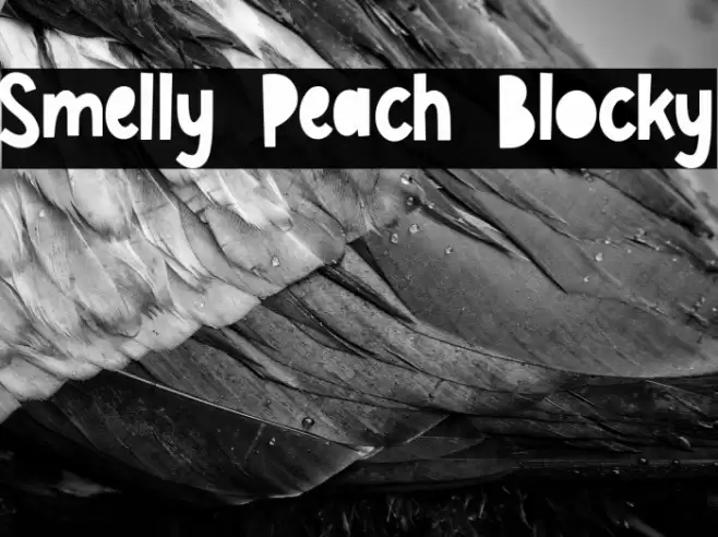 Smelly Peach Blocky Font examples