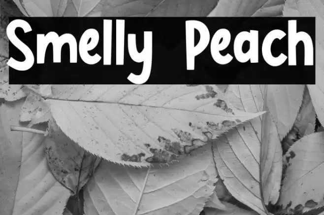 Smelly Peach Font examples