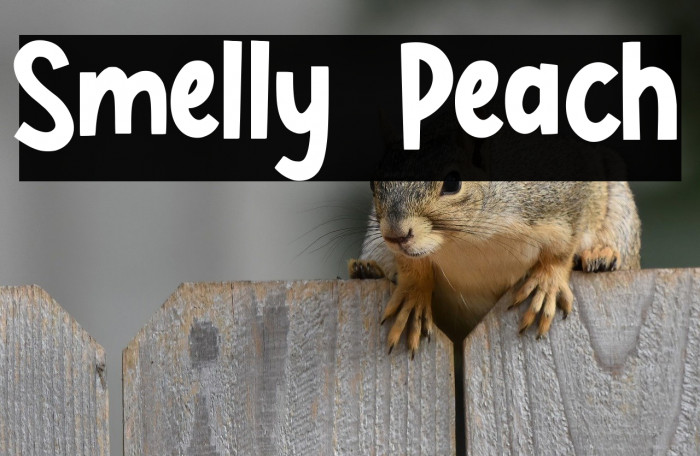 Smelly Peach Example 2