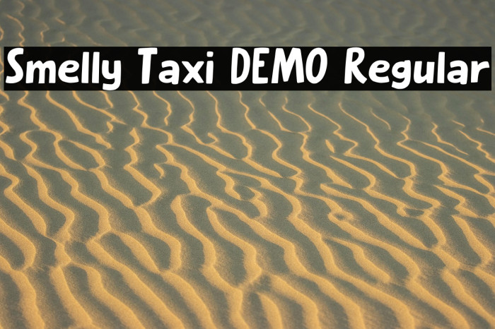 Smelly Taxi DEMO Regular Example 1