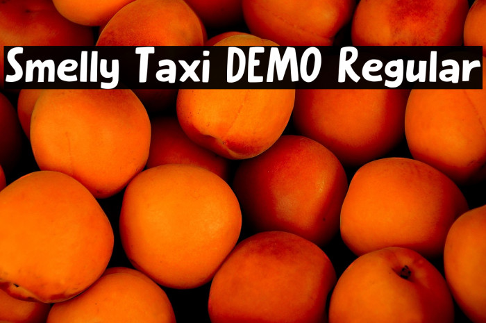 Smelly Taxi DEMO Regular Example 3