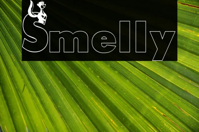 Smelly Example 2