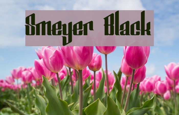 Smeyer Black Example 3