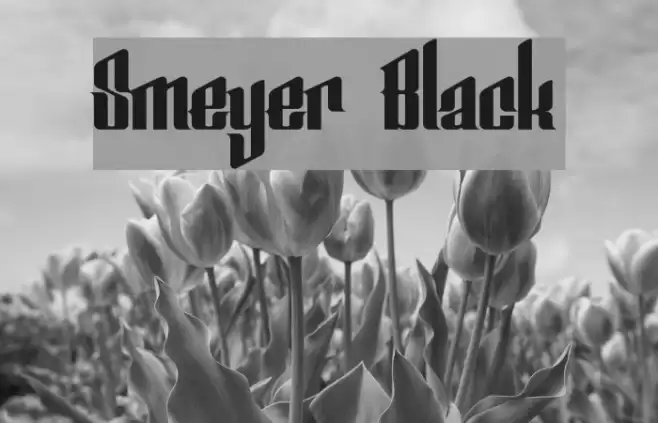 Smeyer Black Font examples