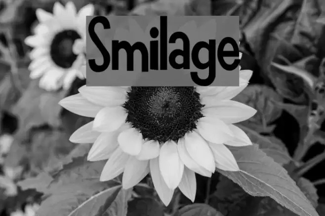 Smilage Schriftart examples