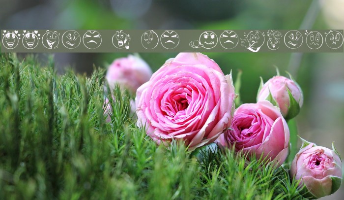 Smile 2 Me Regular Font examples