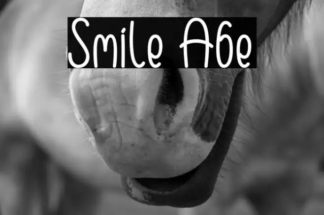 Smile Abe Font examples