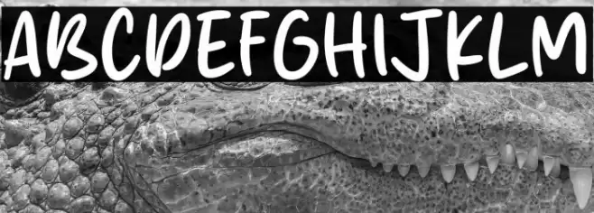 Smile City फ़ॉन्ट examples