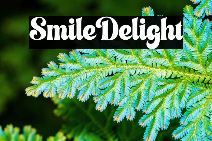 Smile Delight Example 2