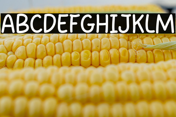 Smile Picture Example 3