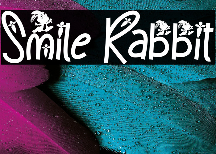 Smile Rabbit Example 1