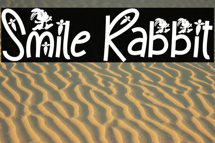 Smile Rabbit Example 2