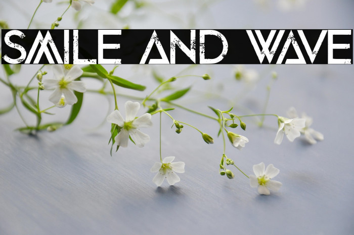 Smile and Wave Example 1