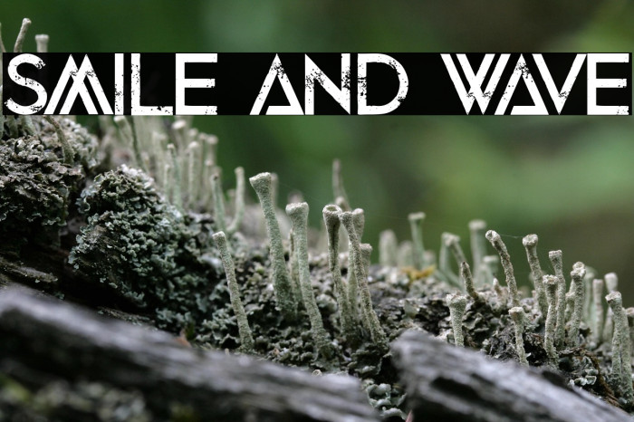 Smile and Wave Example 2