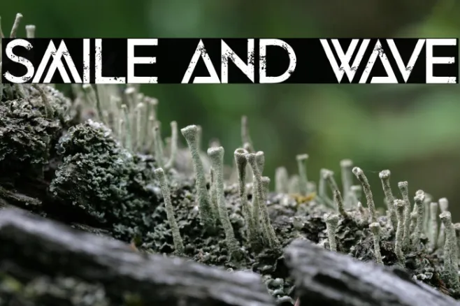 Smile and Wave Example 2