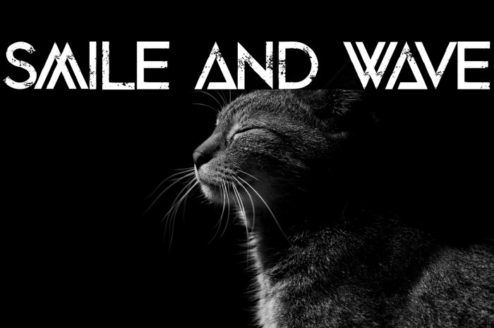 Smile and Wave Example 3