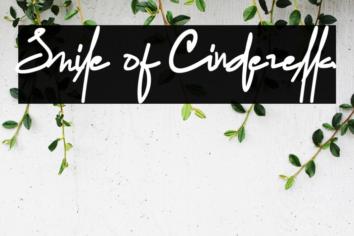 Smile of Cinderella Example 3