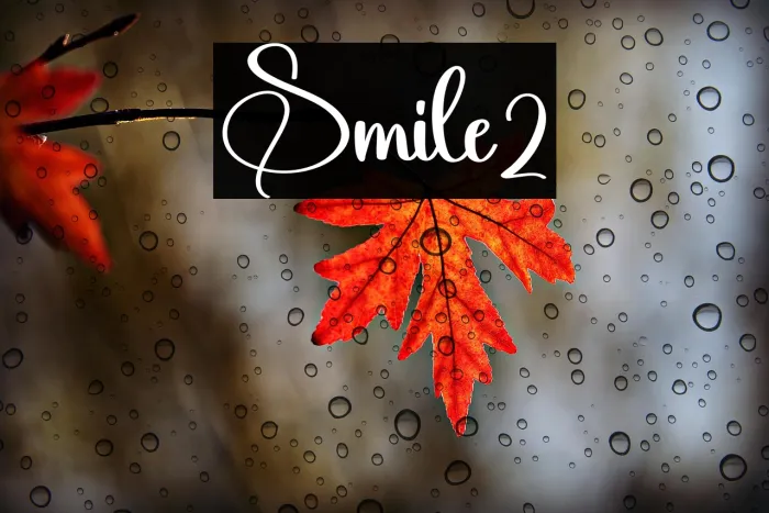 Smile2 Example 1