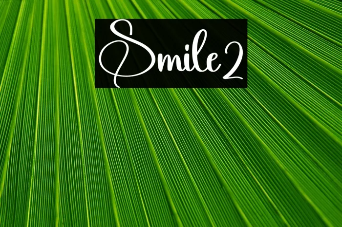 Smile2 Example 3