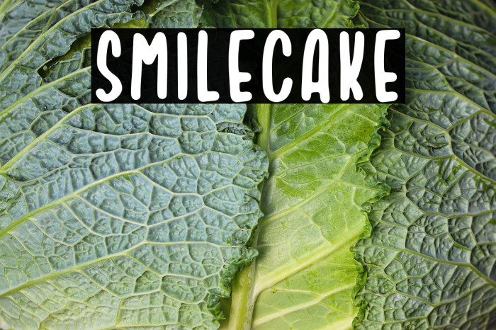 Smilecake Example 2