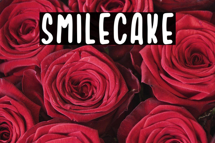 Smilecake Example 3