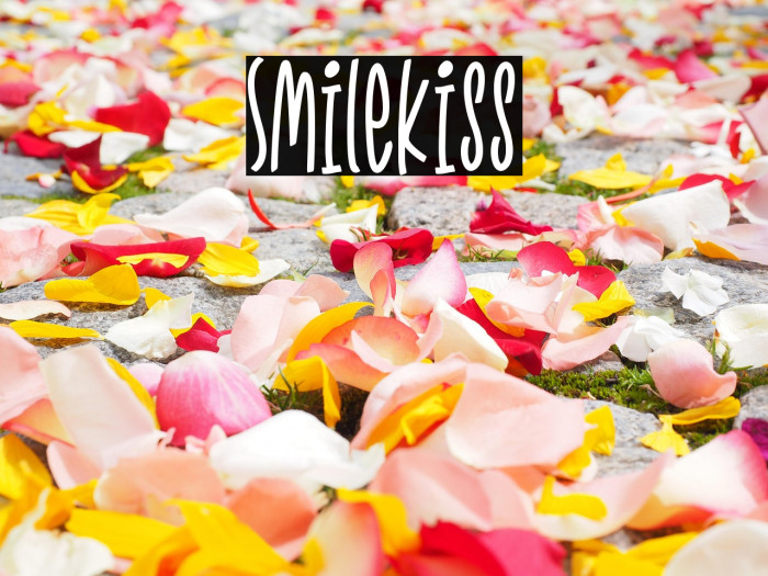 Smilekiss Example 1