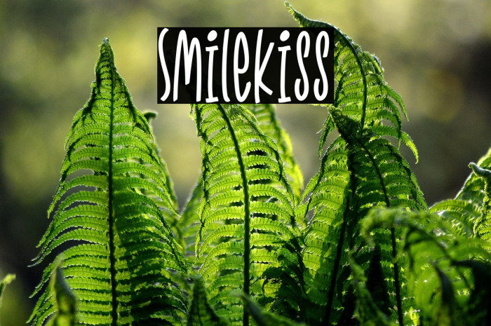 Smilekiss Example 2