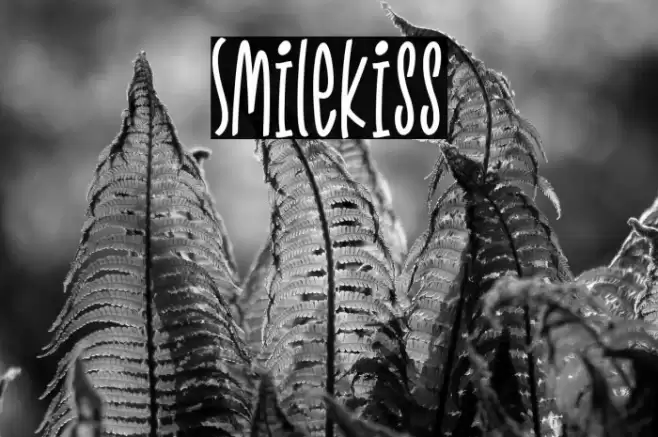 Smilekiss Font examples