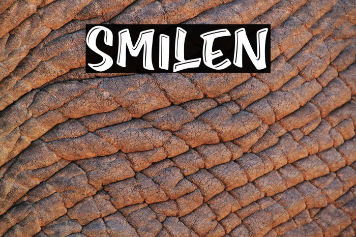 Smilen Font examples