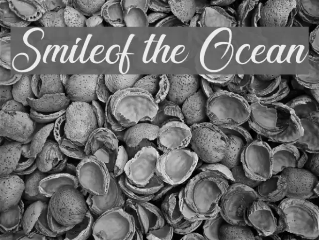 Smileof the Ocean Font examples