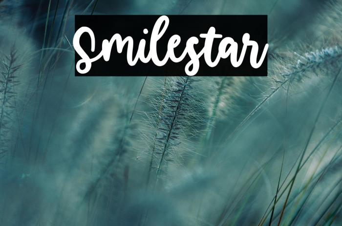 Smilestar Example 3